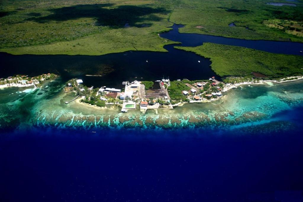 Coral View Beach Resort Utila Exterior foto